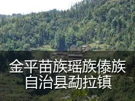 金平苗族瑶族傣族自治县勐拉镇