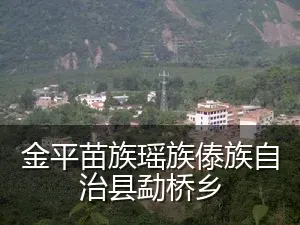 金平苗族瑶族傣族自治县勐桥乡