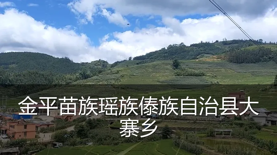 金平苗族瑶族傣族自治县大寨乡