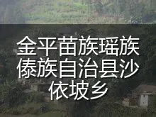 金平苗族瑶族傣族自治县沙依坡乡