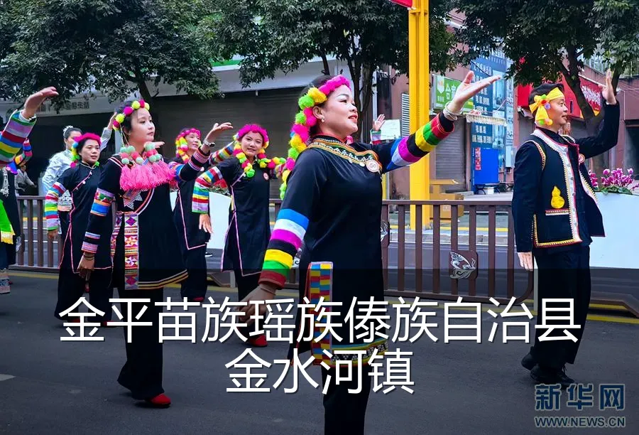 金平苗族瑶族傣族自治县金水河镇